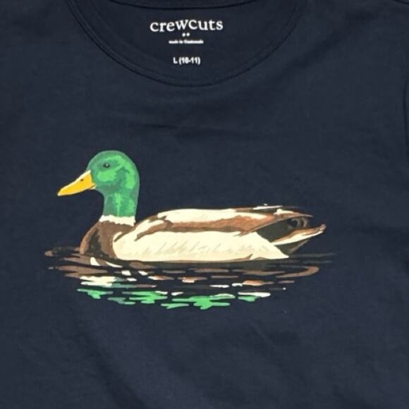 Crewcuts Long Sleeve Crewneck Graphic Tee Sz  L  NWT - Picture 4 of 6